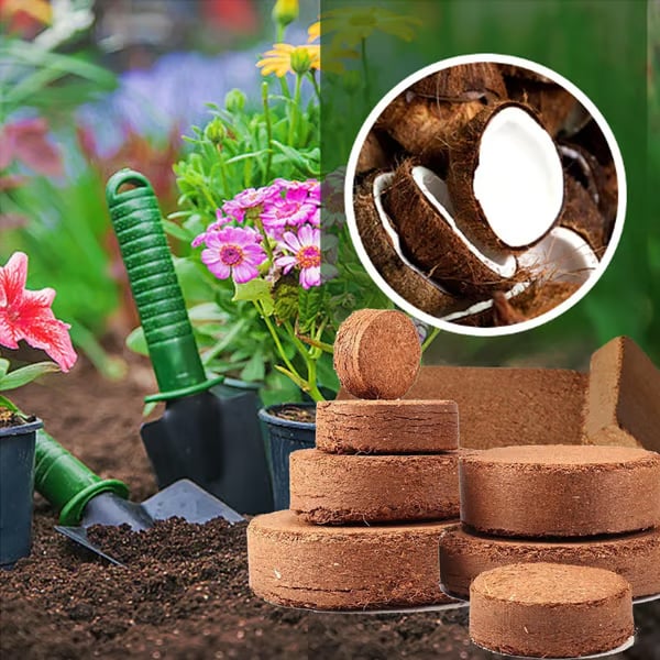 🔥LAST DAY 49% OFF🌱Premium Organic Coconut Coir Bricks for Plants